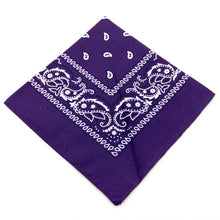 Cargar imagen en el visor de la galería, Pañuelo Bandana
