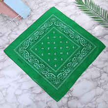 Cargar imagen en el visor de la galería, Pañuelo Bandana
